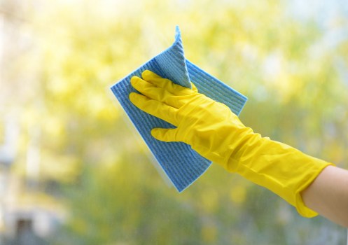 Local domestic cleaner working in an N16 property