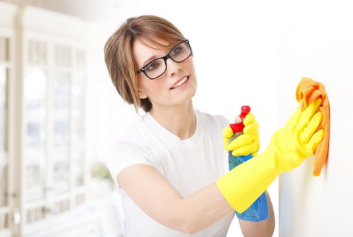 Keyboard navigation and accessible web page layout for Carpet Cleaners N16