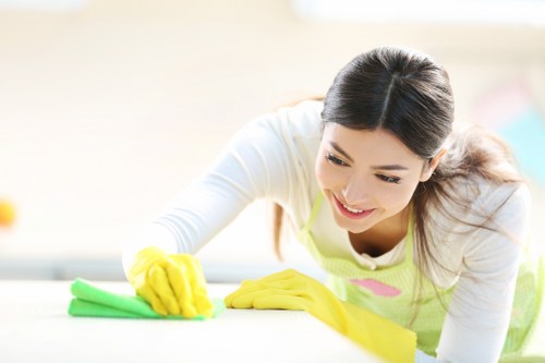 Weekly and fortnightly cleaning support for busy households in N16