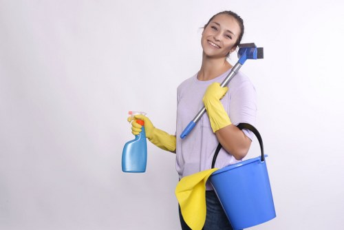 Exterior wall and façade cleaning service for N16 properties