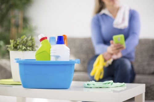 Upholstery cleaning treatment for a fabric sofa in N16