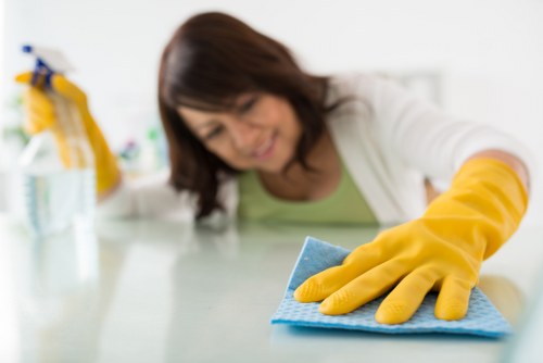 Local cleaning technician treating pet odour in a Stoke Newington property