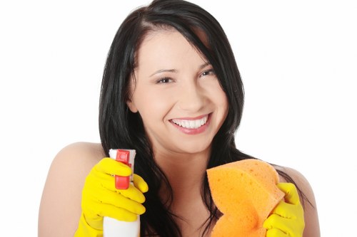 SSL encryption protecting Carpet Cleaners N16 online payments